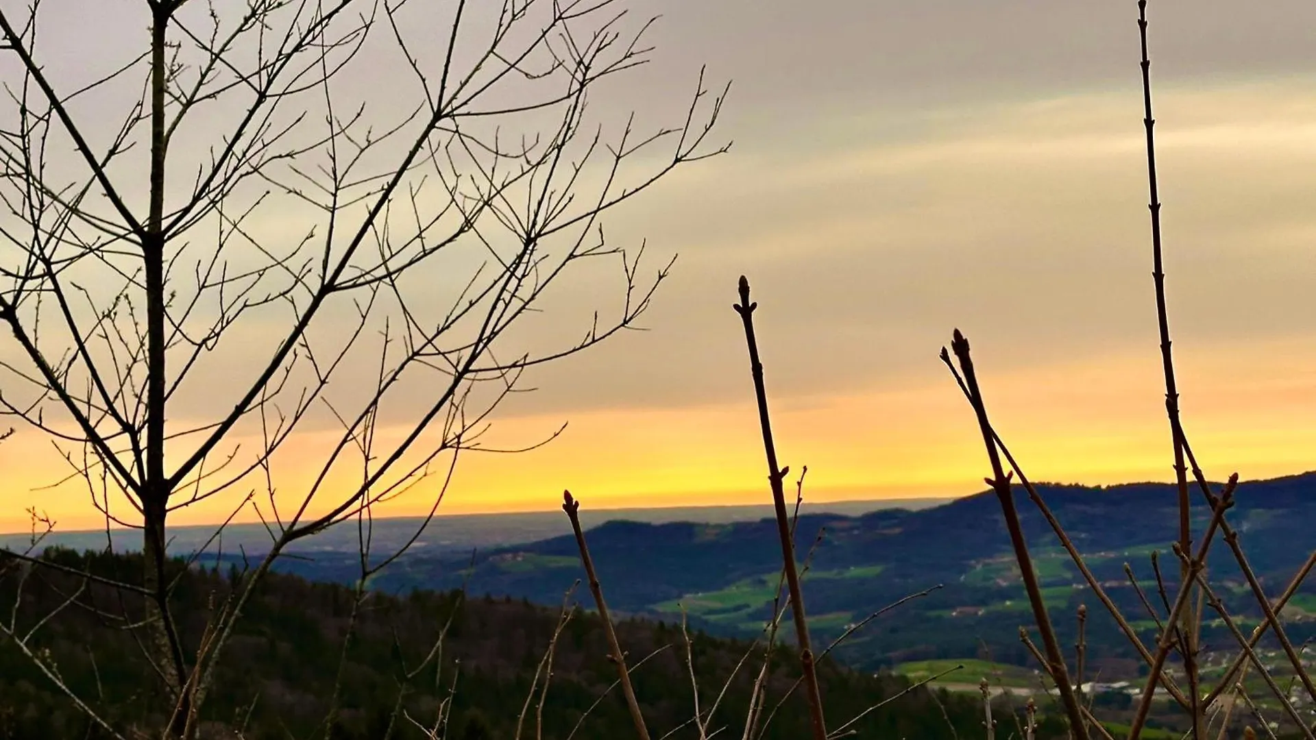 Gemuetliches Alpenblick Berg-Bungalow + Grosser Garten + Netflix! Schofweg 0*,