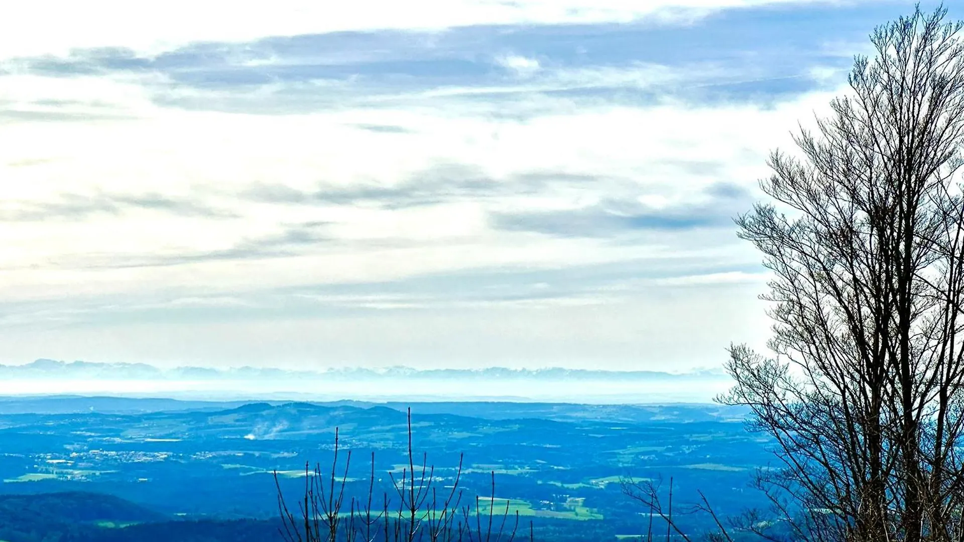 Gemuetliches Alpenblick Berg-Bungalow + Grosser Garten + Netflix! Schofweg Holiday home