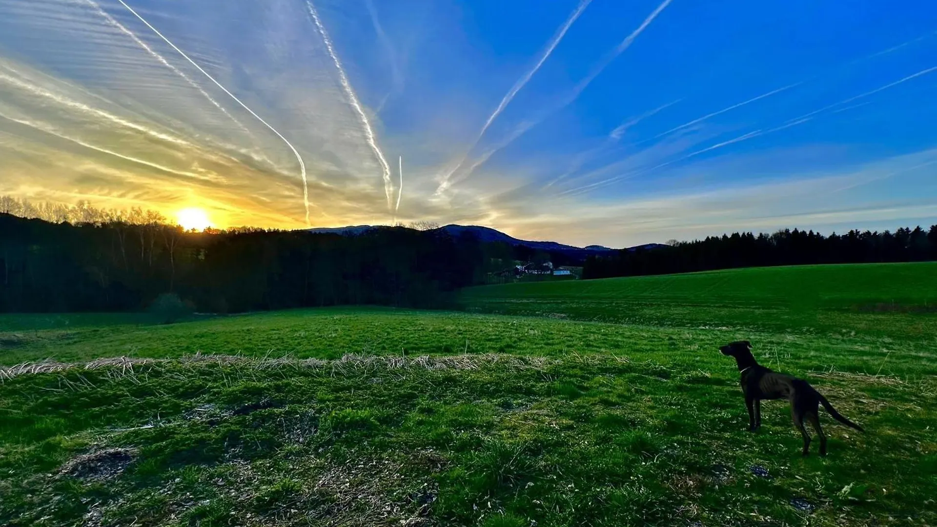 Holiday home Gemuetliches Alpenblick Berg-Bungalow + Grosser Garten + Netflix! Schofweg