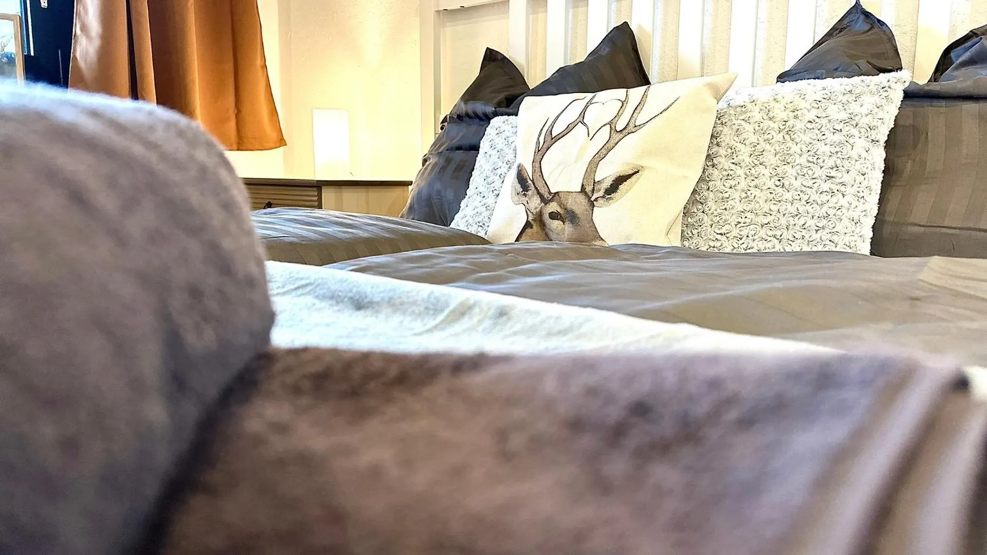 Holiday home Gemuetliches Alpenblick Berg-Bungalow + Grosser Garten + Netflix! Schofweg